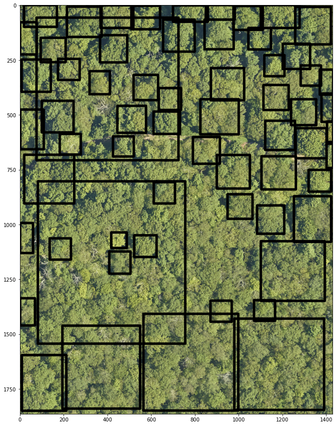../../_images/forest-modelling-treecrown_deepforest_25_0.png