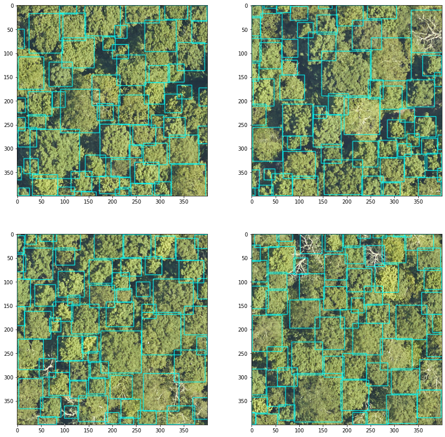 ../../_images/forest-modelling-treecrown_deepforest_30_1.png